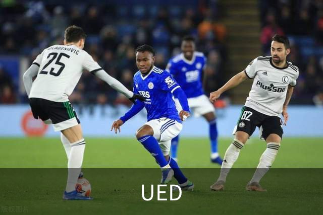 UED公司简介图片